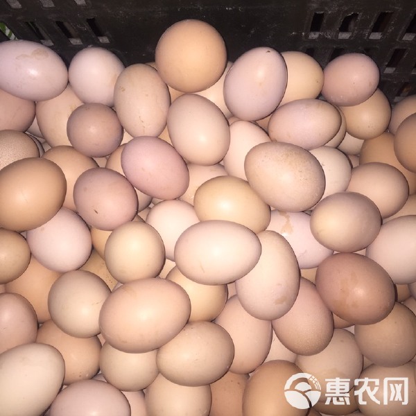 水產品四大家魚與家禽家畜批發行情解析