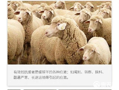 復合型多維家禽家畜通用飼料的應用與優勢