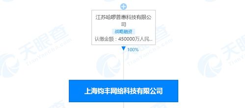 哈啰出行關(guān)聯(lián)公司注冊(cè)資本激增50%，彰顯戰(zhàn)略布局與業(yè)務(wù)擴(kuò)展雄心